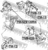 FEBEST TM-NZE120RH Engine Mounting